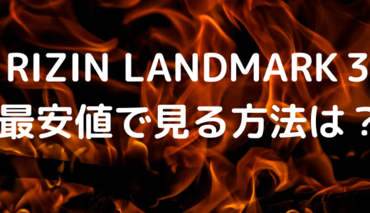 RIZIN LANDMARK vol3【2022】最安値視聴方法は？見逃し配信も調査！